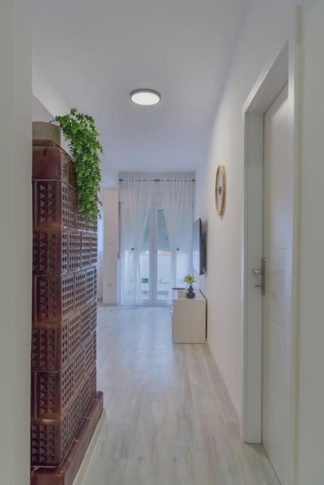 Apartman Scala Zadar Eksteriør billede